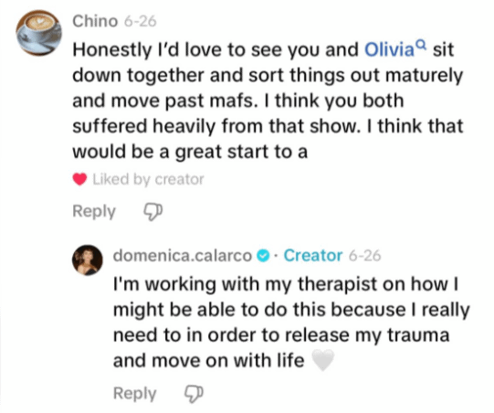 married at first sight domenica calarco olivia frazer trauma tiktok comment
